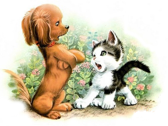 Кошки или собаки?