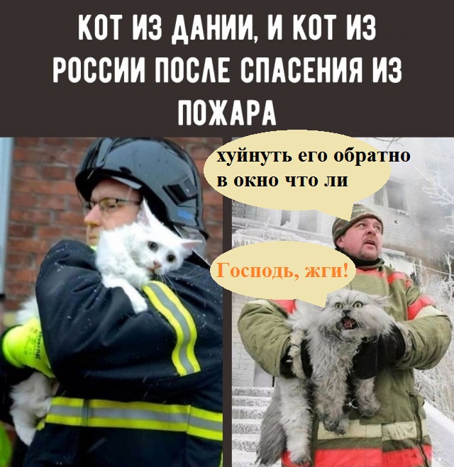Картинки юморные и тексты