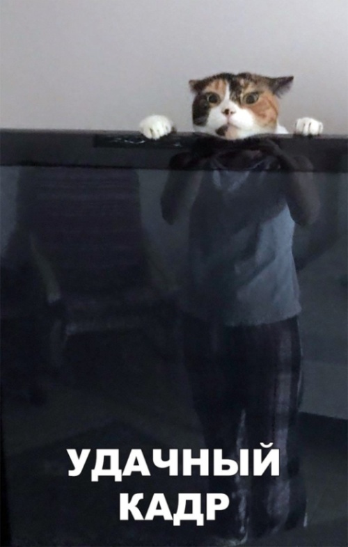 Немного милоты