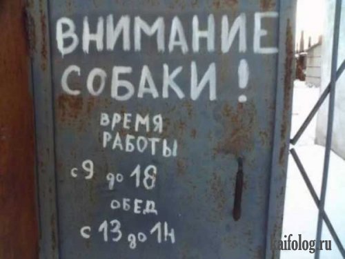 Прикольные надписи и объявления