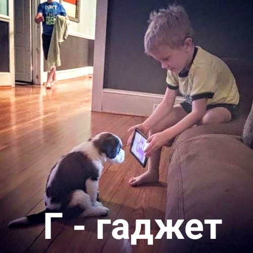 Фотоинтересности