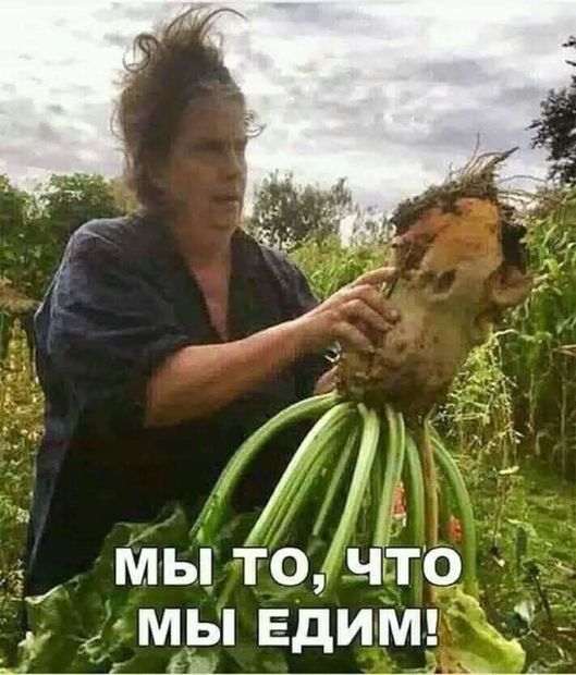 Отряды быстрого деградирования