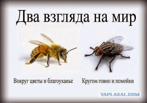 Почему у нас нет заводов, зато повсюду открываются торговые центры?