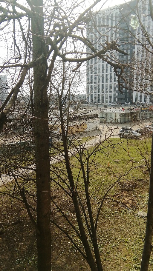 Давайте фото у кого какой вид из окна на оживленные улицы городов в настоящий момент