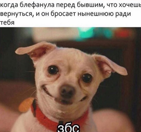 Очень пошлые картинки про это.18+