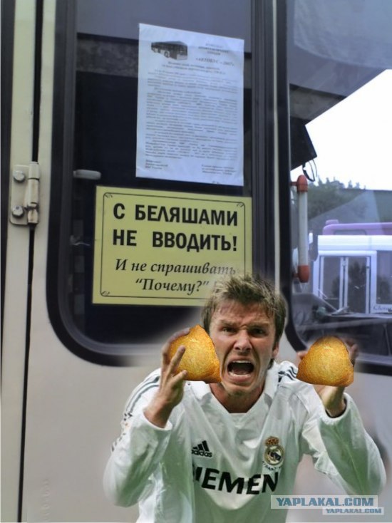 Не входить с беляшами!