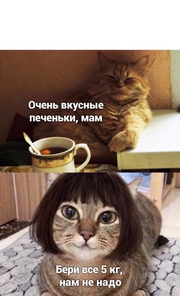 Старые картинки, продолжение