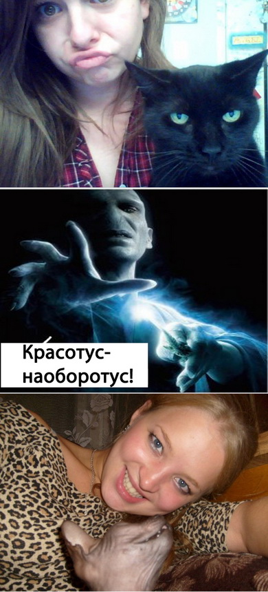 Фотожаба: Я и моя сраная хозяйка