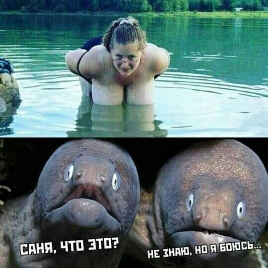 Дурацкие картинки
