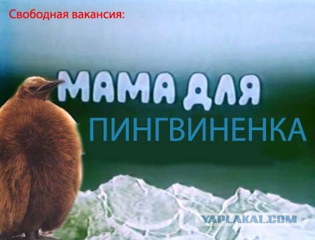 Чужой среди своих