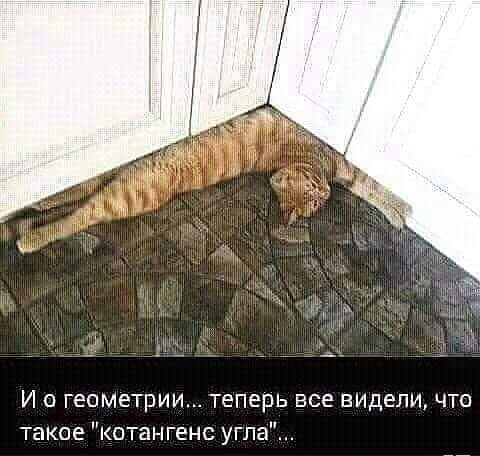 Немного юмора, гуманитарного - 2