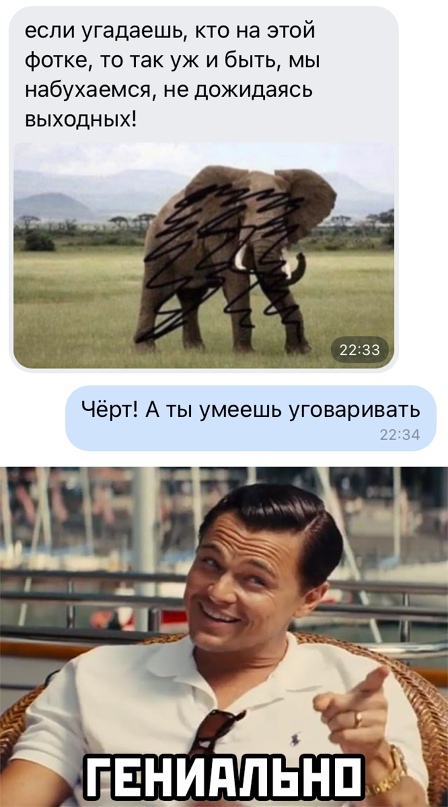 Весёлый полтишок 19.03