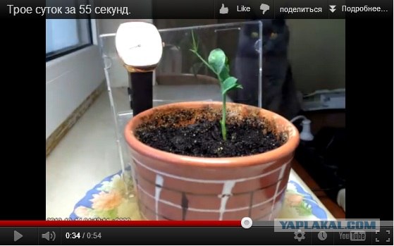 Трое суток за 55 секунд.