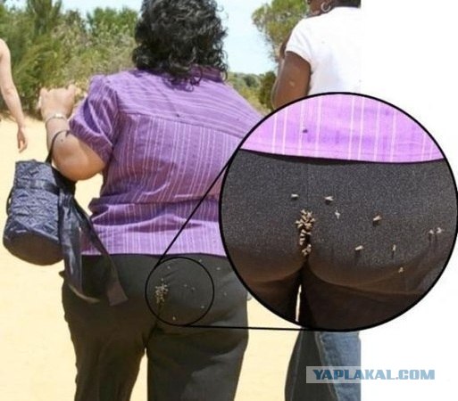 Не довезла ...