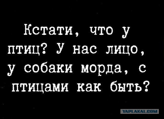 Картинки и фразы 9-го июня... тридцать штук
