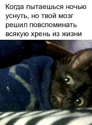Весёлый полтишок 25.10