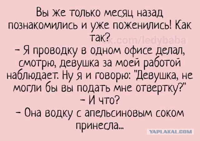 Весёлый полтишок 26.11