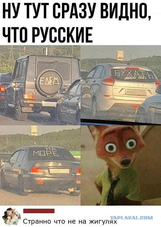 Алкопост 14.01.22