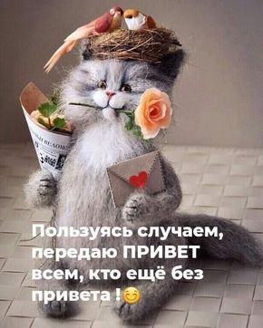Баянисто-небаянистый юмор 9.03.22