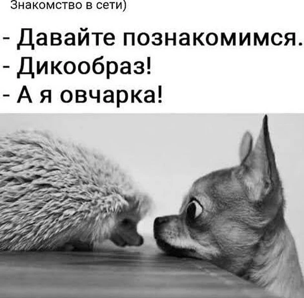 Баянисто-небаянистый юмор 4.03.22