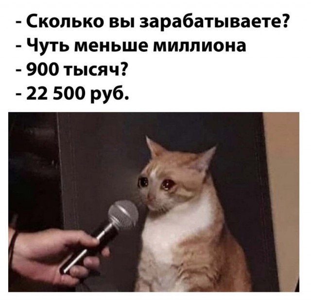Картинки с надписями и всякие жизненные фразы