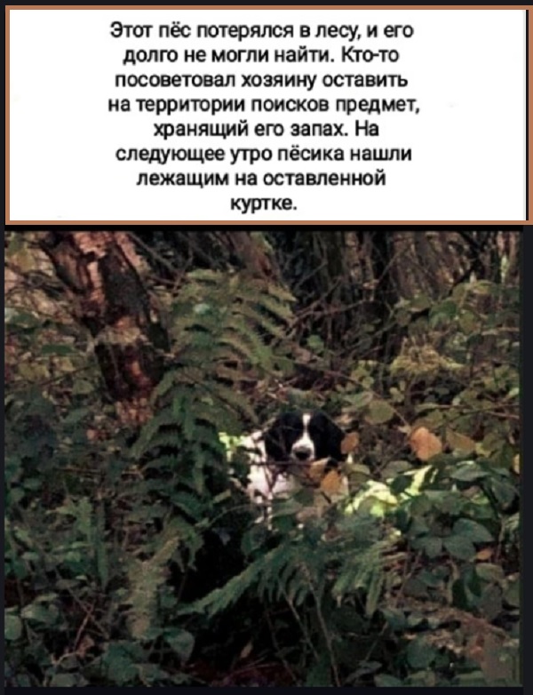 Картинки с надписями и всякие жизненные фразы 05.05.2022