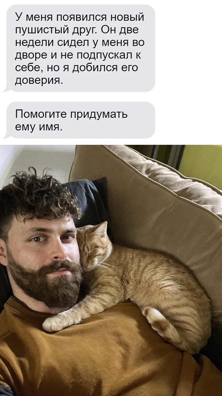 Картинки и мемы для настроения  - 31