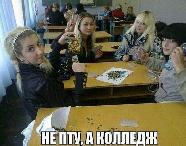 Картинки. Баян-прибоян Япа