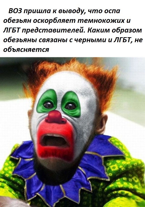 Весёлый полтишок 15.08.22