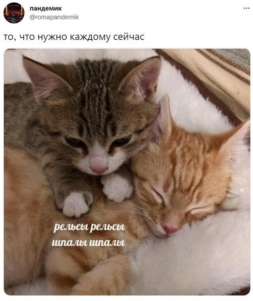 Прикольные и просто красивые картинки 09.11.2022
