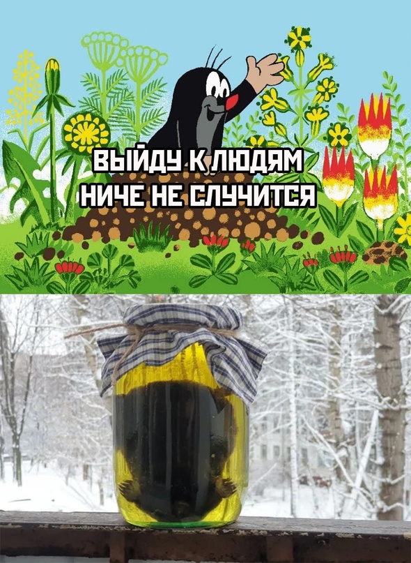 Картинки и мемы для настроения - 125