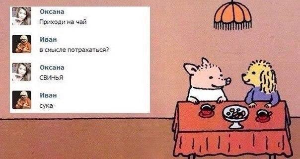 Забавные комментарии из социальных сетей (02.01.23)