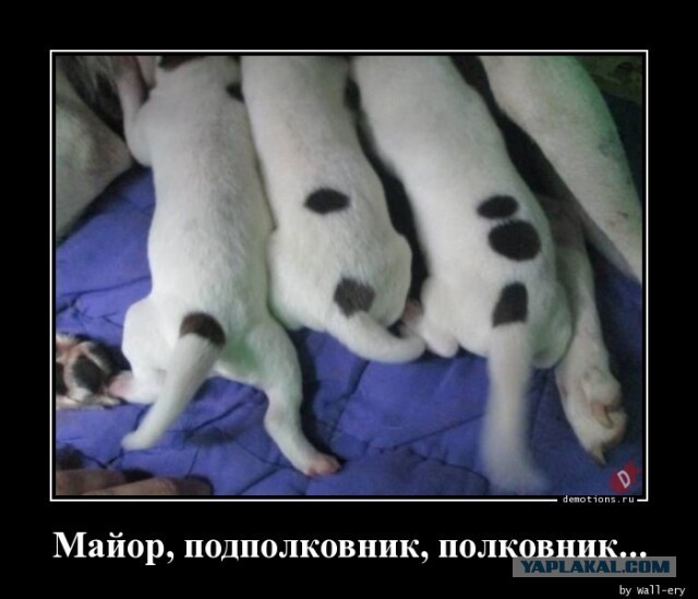 Картинки с надписями 12.02.23