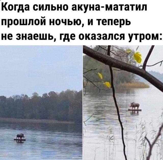 Так себе картинки 03.05.23