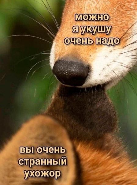 В Мурманске 13-летней девушке сделали предложение