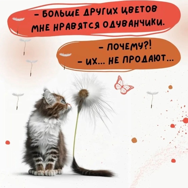 Начнем с картинок