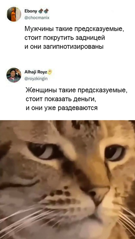 Весёлый полтишок 21.05.23