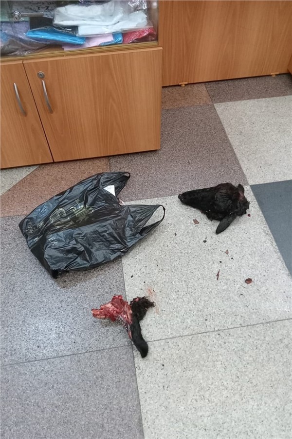 Красноярск. 28 июня в Курбан-байрам  мужчина ворвался в храм Рождества Христова. Думаете, это был русский или белорус?