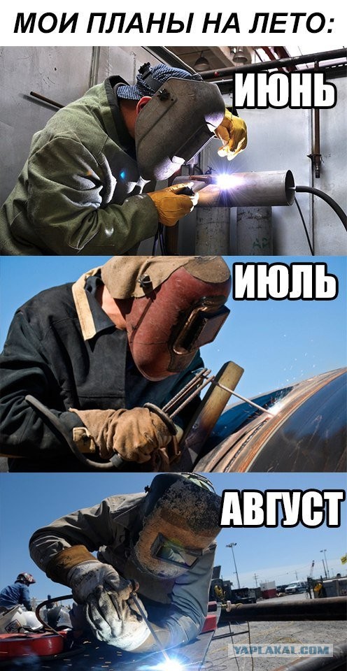 Весёлый полтишок 23.07.23