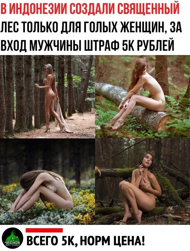 Скупка краденого из сети 09-08-2023
