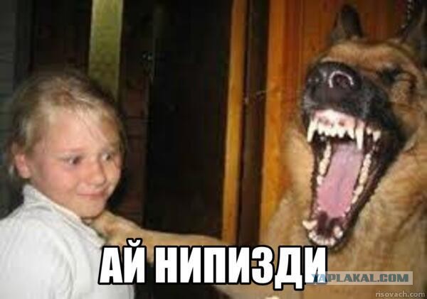 Иж ЛюсЯ