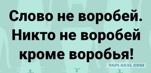 Улыбательные тексты и картинки