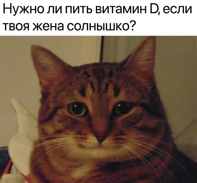 Почему на Кавказе запрещено общаться зятю со своей тёщей, а тёще приходить в дом к молодым?