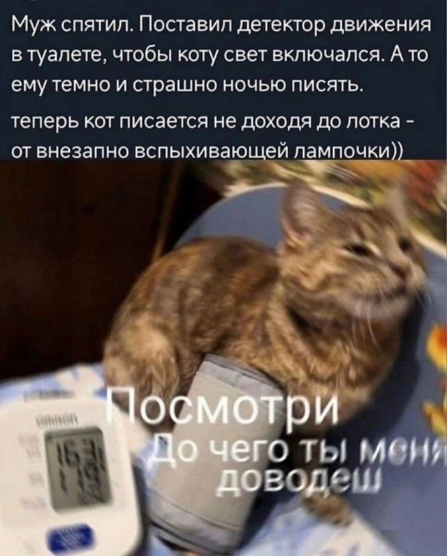 Тлидцать тли от 26 февлаля