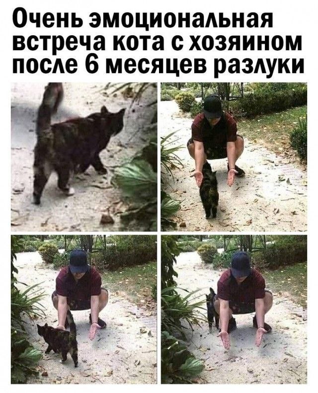 Всего понемногу. От 27.09.24
