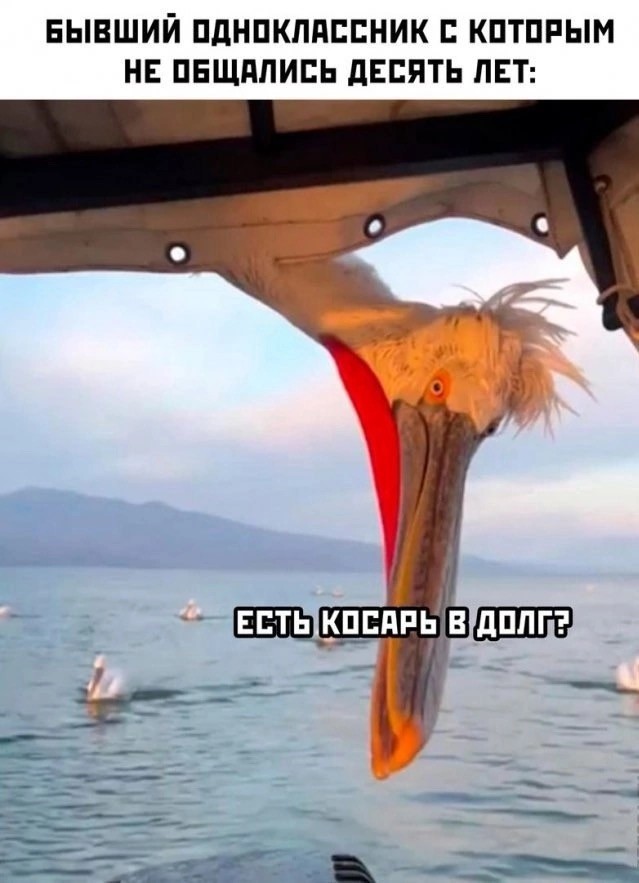 Завалялось тут случайно немного забавных картинок