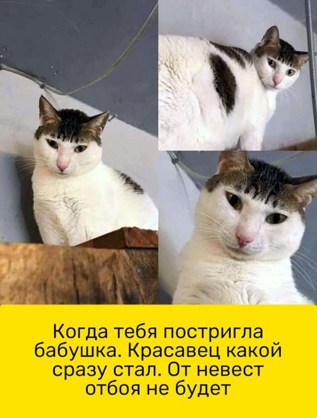 Но... надо!