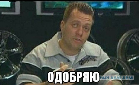 Кот спорит с девушкой мем Пин от пользователя Alex Bredinsky на доске Улыбнуться Веселые мемы, Смешные мем