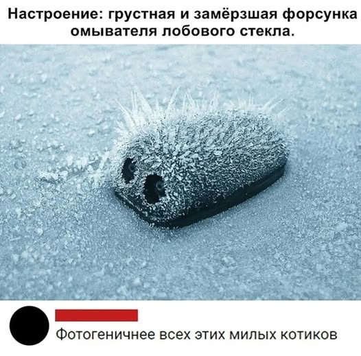 Так себе картинки 27.02.25