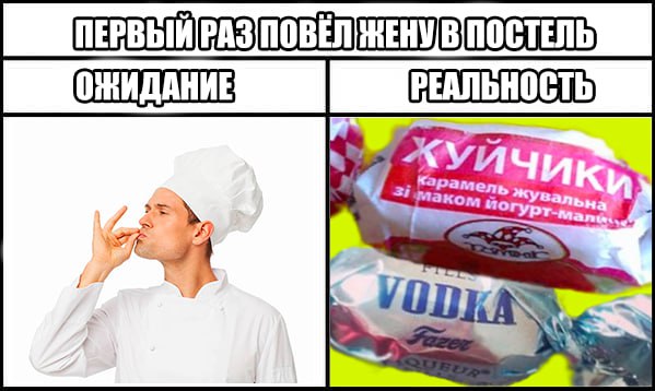 Собачьей сцепкой закончилась первая брачная ночь у питерских молодожёнов